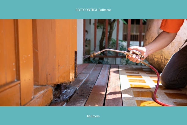 PEST CONTROL Bellmore
